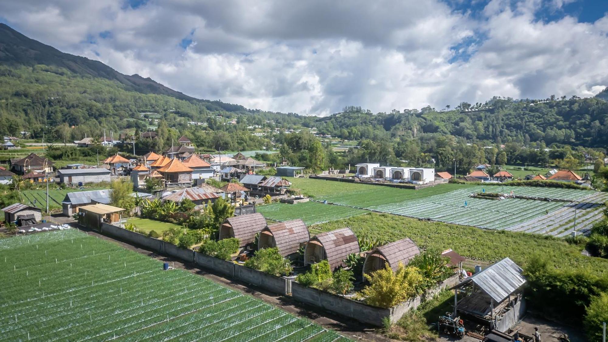 Tegal Bamboo Cottages & Private Hot Spring Baturaja (Bali) Exterior foto